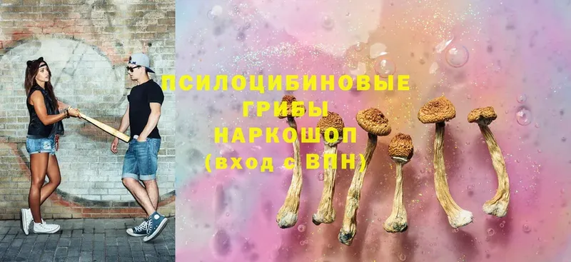 Псилоцибиновые грибы Magic Shrooms  МЕГА ССЫЛКА  Покров 